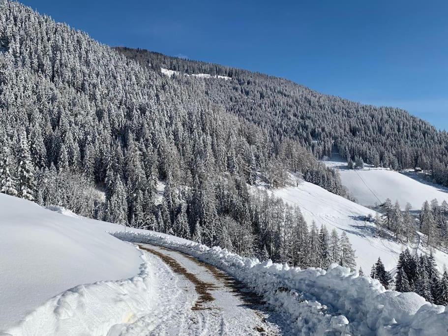Sonnenplatz Appartment Ploninger Natur Bad Kleinkirchheim Exterior foto